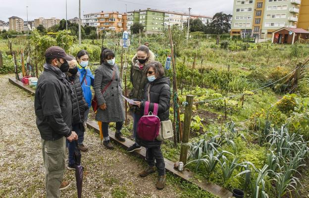 Usuarios de los huertos de Mies de Vega califican de «palo» el cierre de la parcela