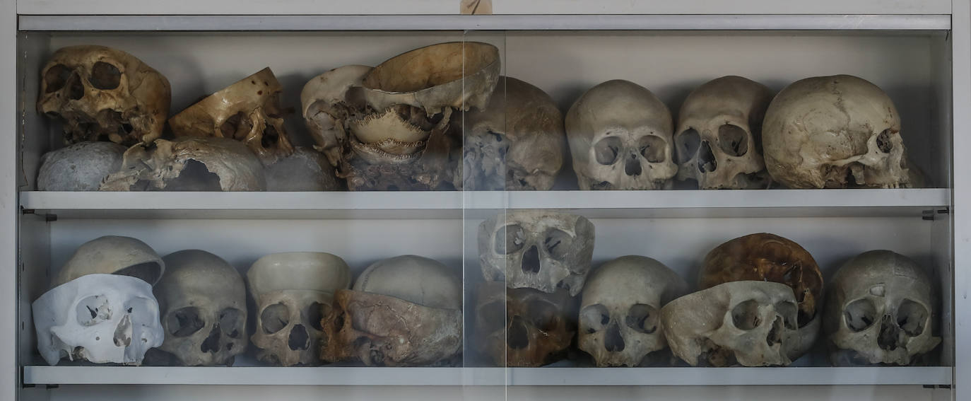 La segunda vida del cuerpo humano