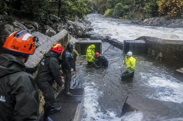 Un empujón para remontar el río