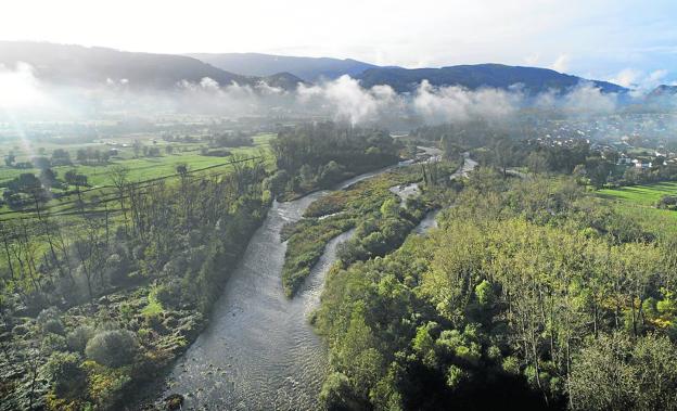 Confederación aprueba los proyectos para el Saja entre Caranceja y Santa Lucía