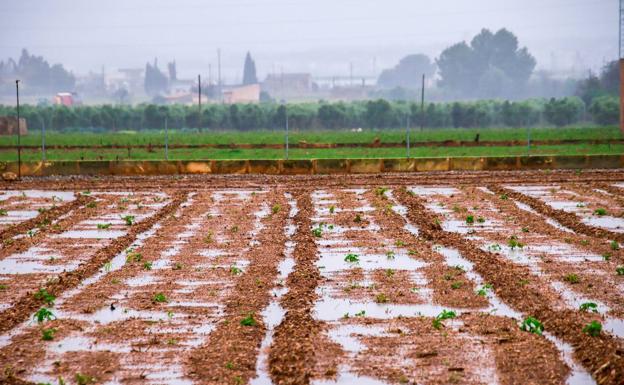 Bruselas apuesta por prohibir la venta de productos que contribuyan a la deforestación