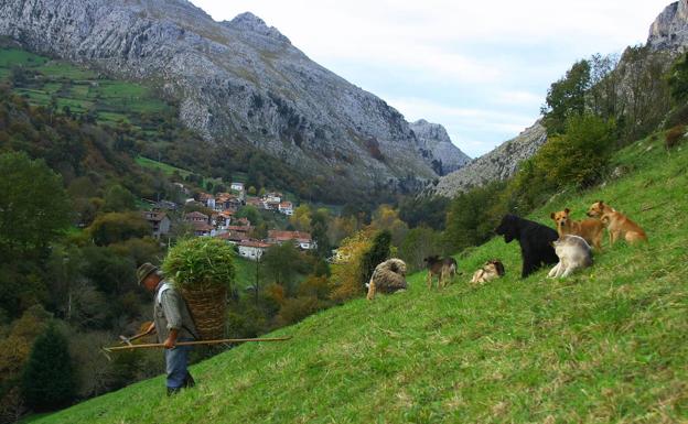 Turismo iniciará las obras del albergue de Miera en diciembre, con 114.000 euros de inversión