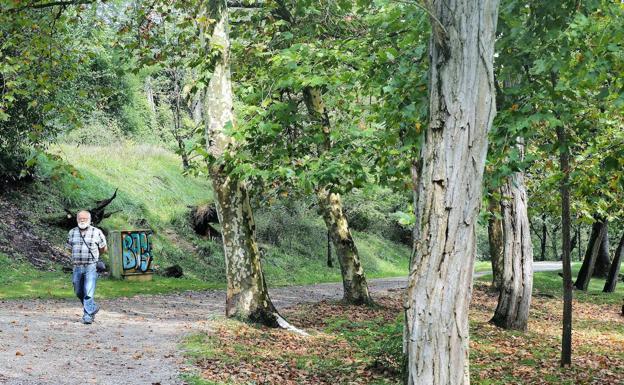 Un grupo de especialistas analizará la situación de las zonas verdes en el municipio