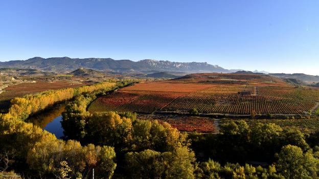 450 hectáreas de viñedo en el corazón de La Rioja Alta