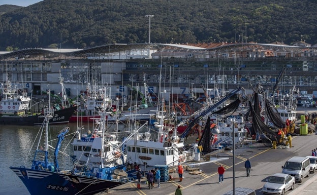 El PP preguntará en el Parlamento el motivo para no crear el centro de formación pesquero en Santoña