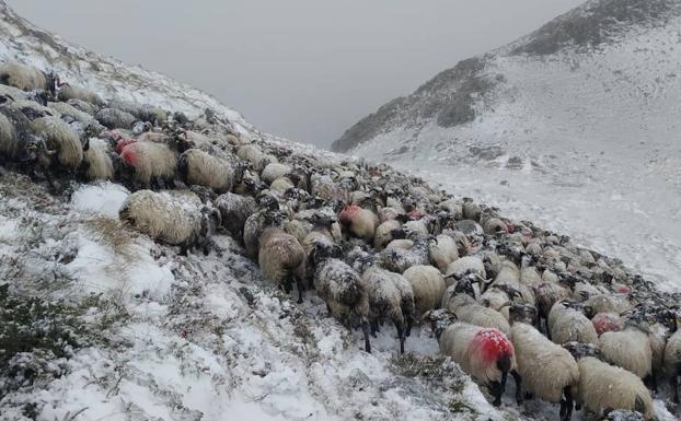 Liébana, una noche de nieve incesante