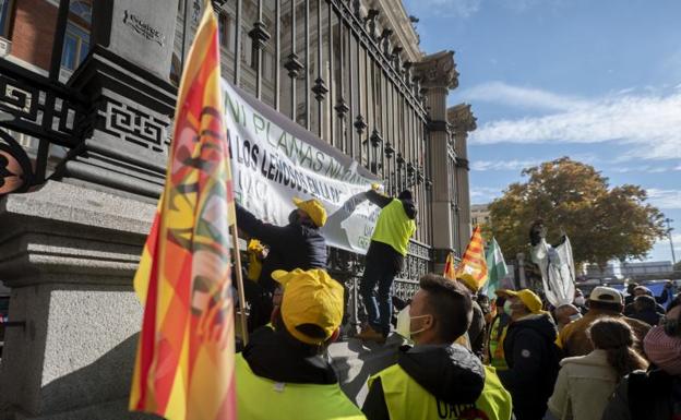 Los agricultores estudian reducir oferta para ajustar costes si no suben los precios