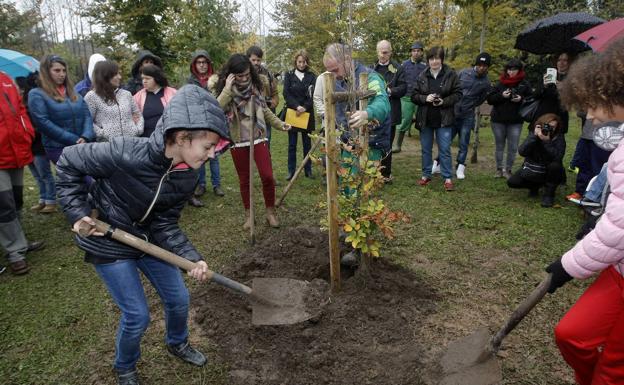 'Torrelavega Solidaria' planta este año su 37 árbol y lanza un concurso sobre los ODS