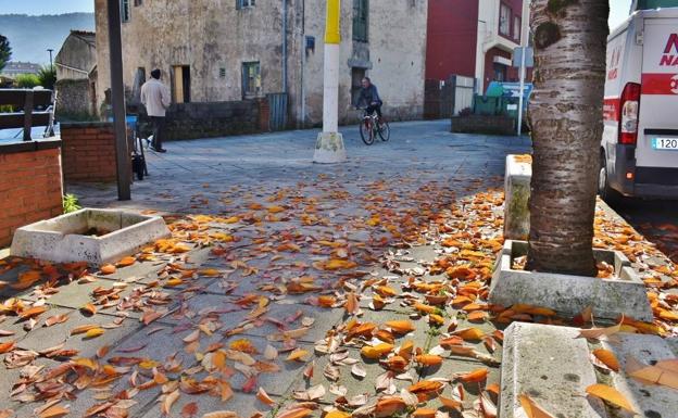 El decorado de las hojas en otoño en Los Corrales, ni tocarlo