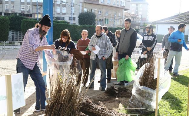 Camargo abrirá el lunes el plazo de solicitudes de árboles, plantas y flores de la XXX Campaña de Repoblación Forestal