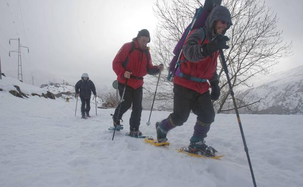 Todo lo que necesitas saber para comenzar a disfrutar de rutas con raquetas de nieve