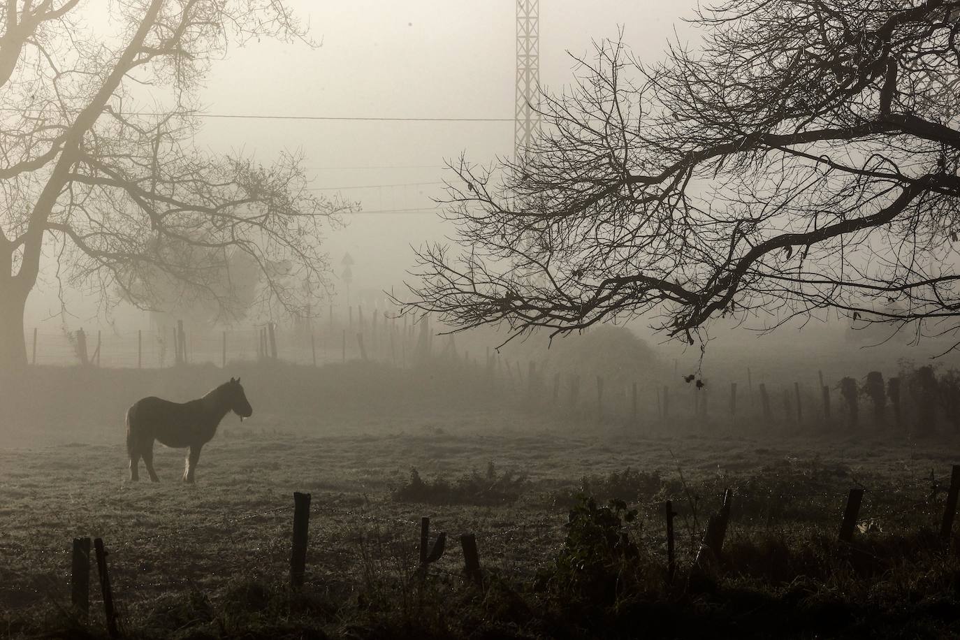 Paisajes de niebla en Cantabria