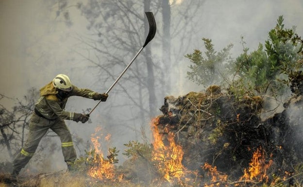 Atentar contra el medio ambiente costará más caro