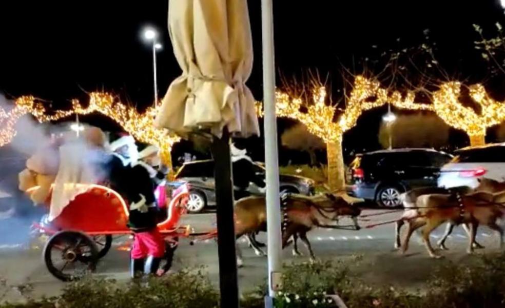 Críticas al Ayuntamiento de Santander por la presencia de renos en la carretera durante la visita de Papá Noel