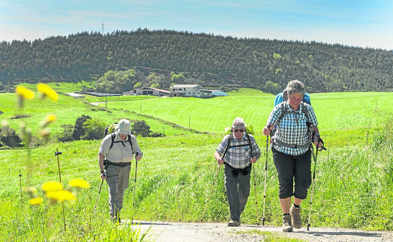 Cantabria señalizará la Vía Agripa en nueve municipios a comienzos de este año