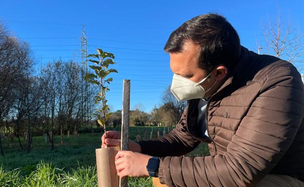 El Astillero amplía hasta el 9 de enero el plazo para solicitar árboles y arbustos