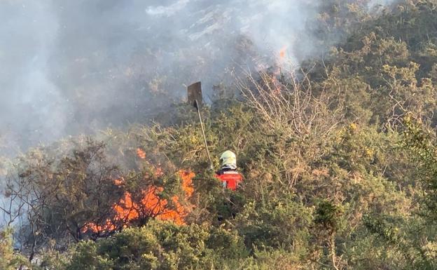 Los incendiarios aprovechan el viento sur para provocar 128 fuegos en dos semanas