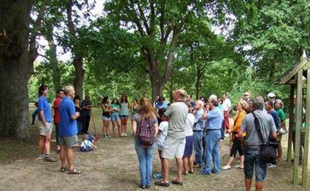 Liendo creará un nuevo bosque autóctono en una parcela municipal