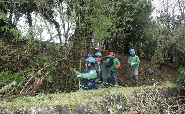 Adjudicado el aprovechamiento de madera en La Viesca y Río Cabo