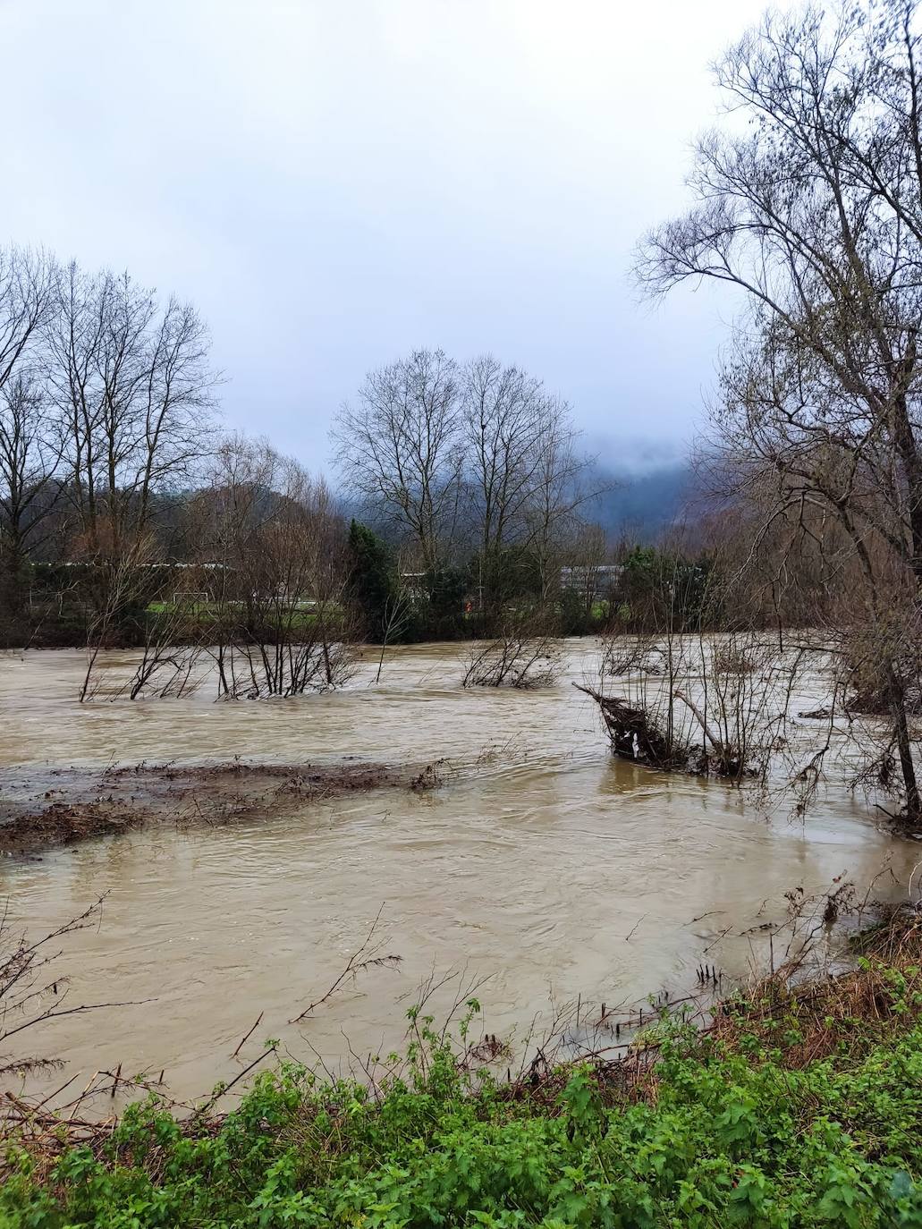 Imágenes del río Asón, este mediodía a su paso por Ampuero