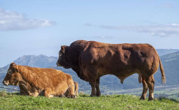 El Gobierno de Cantabria convoca las ayudas de la Solicitud Única para 2022