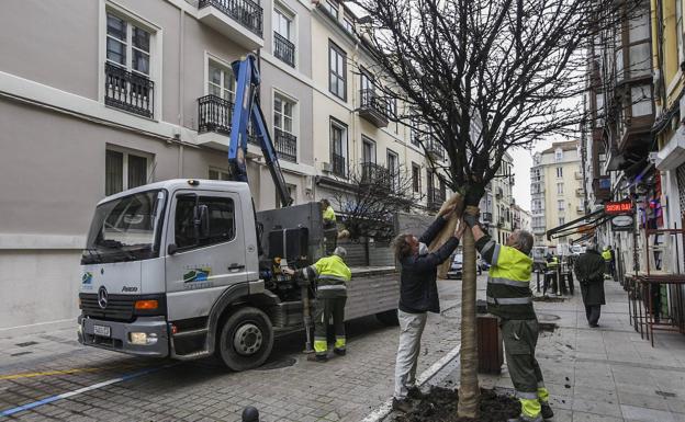 Peña Herbosa cambia los arces por 40 avellanos