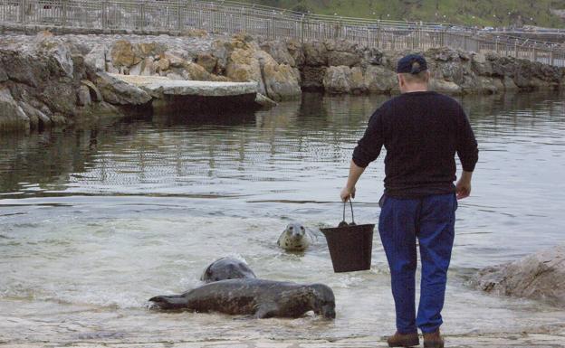 Los regionalistas piden el informe sobre el mini zoo de La Magdalena