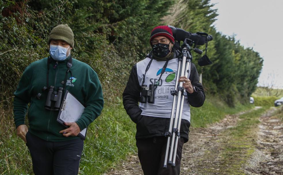 Más de 30.000 aves acuáticas eligen Cantabria para invernar