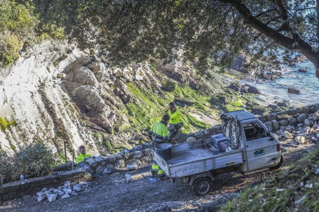 La caída de un árbol arrastra parte del muro junto a la playa de Los Molinucos