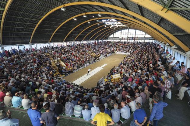 El Malecón será la sede de la Semana Bolística entre el 18 y el 26 de agosto