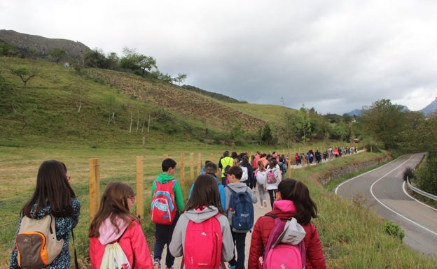 El proyecto LIFE 'STEPS for LIFE' aportará más de 3,4 millones para transformar los caminos de peregrinación a Santo Toribio de Liébana en corredores verdes y ecológicos