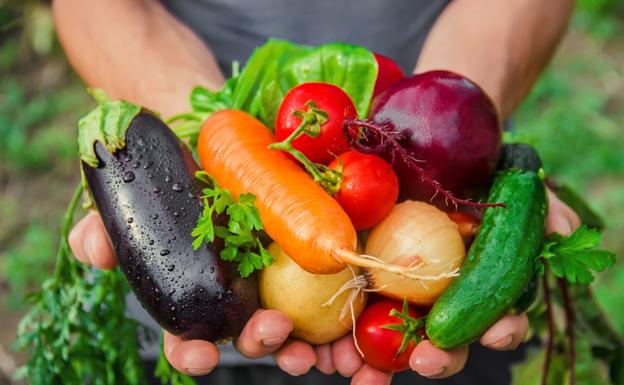 La alimentación saludable y los productos ecológicos, algo más que una moda pasajera