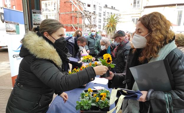 La plaza del Mercado acogió un reparto gratuito de flores