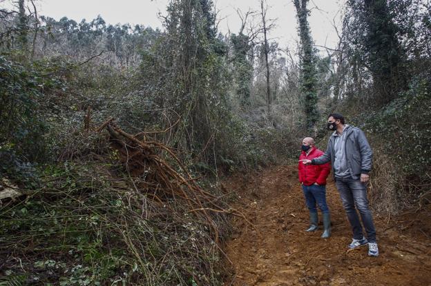 Una tala de eucaliptos en el parque de La Viesca enfrenta a Torrelavega y Cartes