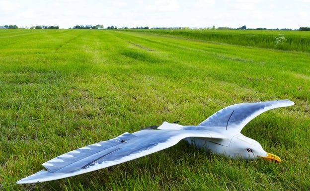 'Pájaros espías' de la Guardia Civil patrullarán el cielo contra el crimen organizado