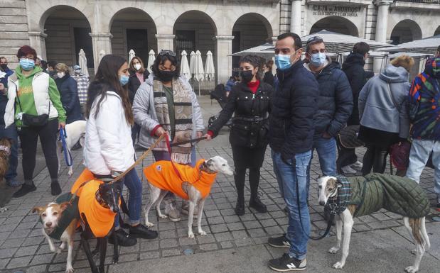 «El abandono de los perros es brutal y una realidad durísima»