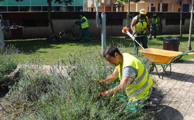 Santoña pondrá en marcha a partir de abril la Escuela de Talento Joven de jardinería