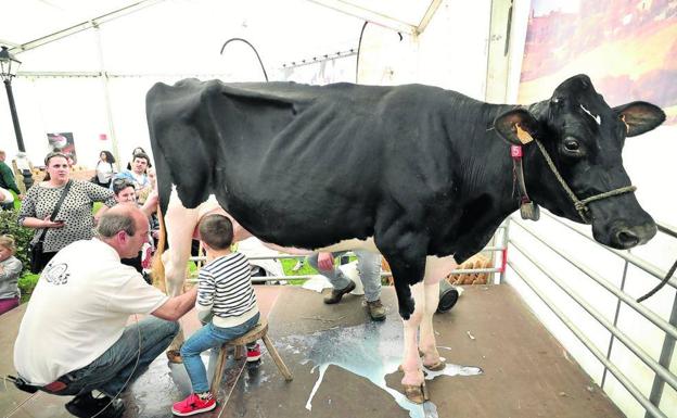 Ruiloba recupera la Feria de la Leche con homenaje a los ganaderos y un queso fresco de dimensiones récord