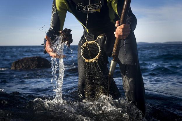 El número de perceberos se eleva de 18 a 26 en 2022