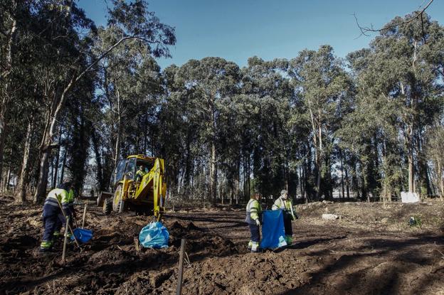 Ecologistas se oponen a la creación de dotaciones deportivas en Las Tablas