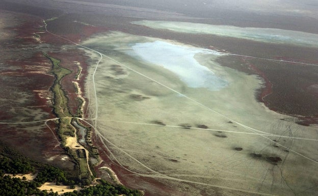 Doñana se seca por la acción humana