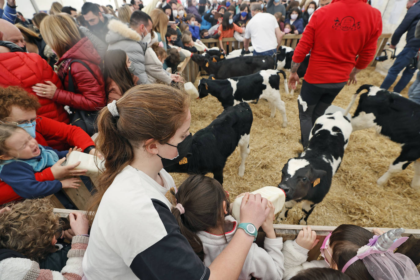 Feria de la Leche en Ruiloba