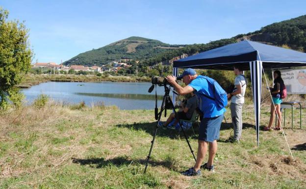 Santoña, entre los mejores lugares de España para practicar turismo ornitológico