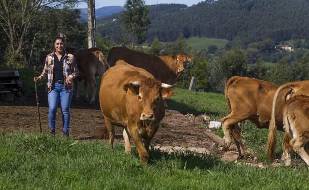 Cantabria convoca ayudas por 7,4 millones para agricultores jóvenes y mejora de explotaciones