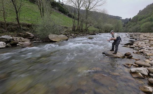 Casi 800 voluntarios analizan 80 tramos de ríos de Cantabria y la mitad está en «buen estado»