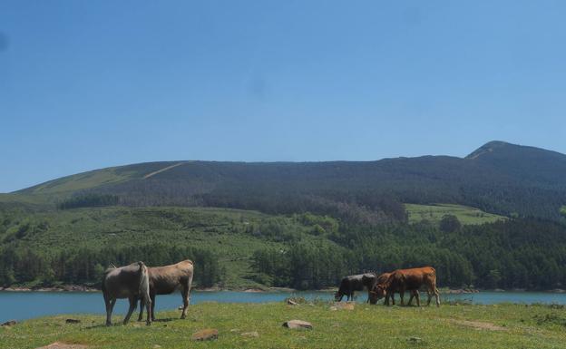 Iberdrola espera que el parque eólico del Escudo esté en funcionamiento dentro de un año