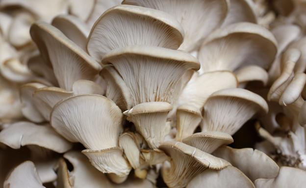 Camargo recupera la presencialidad en sus charlas 'Los lunes de invierno'