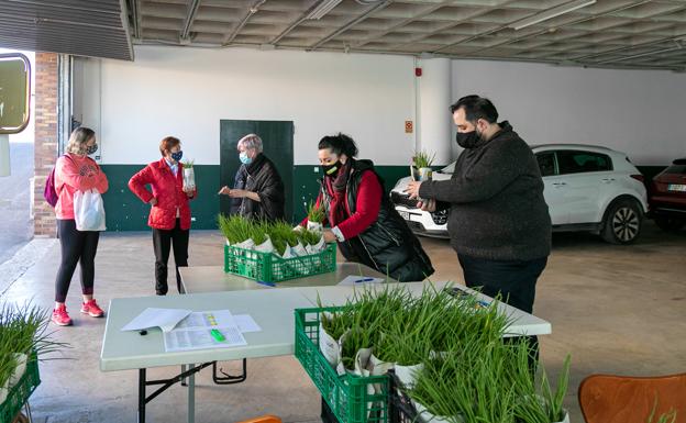 Polanco repartirá más de 10.000 plantas de hortalizas entre sus vecinos