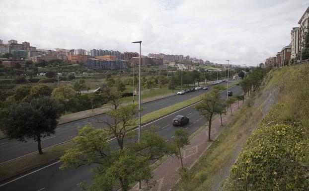 El Ayuntamiento creará un 'corredor verde' con árboles a lo largo de la mediana y los márgenes de la S-20