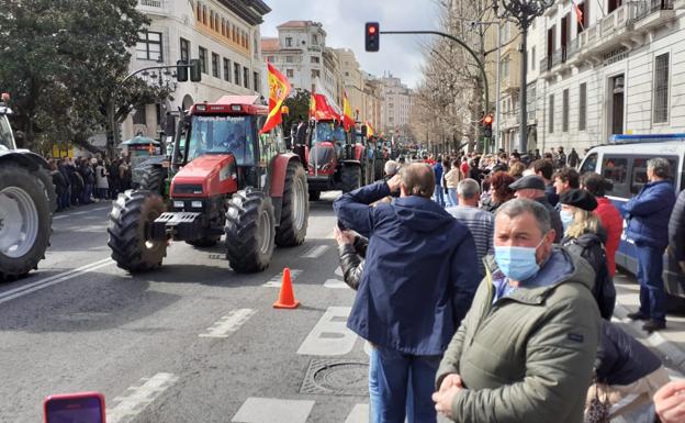 Los ganaderos, hartos de los precios de la leche y los daños del lobo: «Estamos abandonados y atrapados»